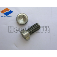 high end Ti6AI4V Titanium torx thin head screws DIN6912